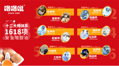 咯咯哒、咯咯哒鸡蛋、咯咯哒无菌蛋