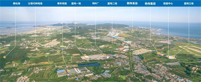 韩建初总经理专访：向世界发出中国蛋品行业的声音1231.png