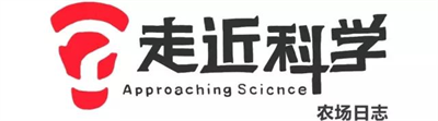 公鸡为什么会打鸣？91.png