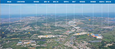 咯咯哒，咯咯哒鸡蛋，咯咯哒无菌蛋