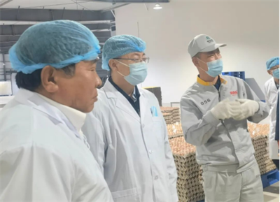 朝阳市委副书记、政法委书记张健一行领导参观考察朝阳韩伟蛋业227.png