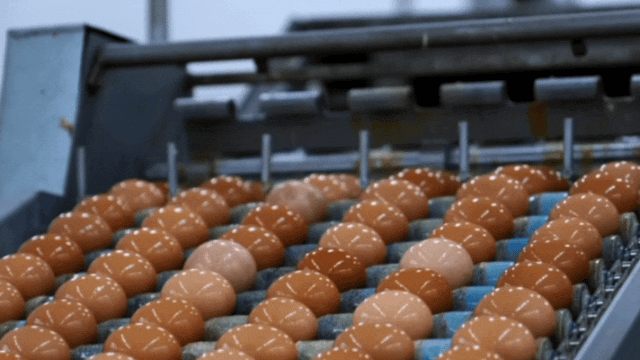 1689730654439088.gif 640.gif